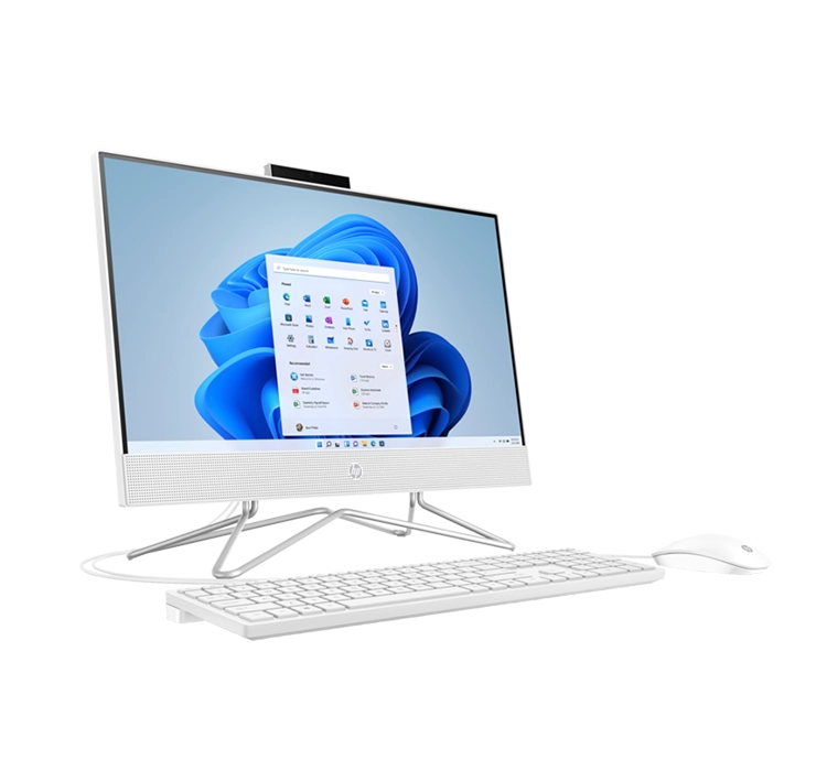 HP All-in-One 22-dd2304nh Bundle PC