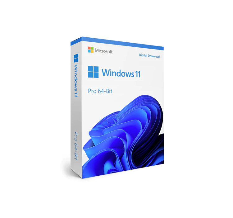 Windows 11 Pro 64Bit Eng Intl 1pk DSP OEI DVD
