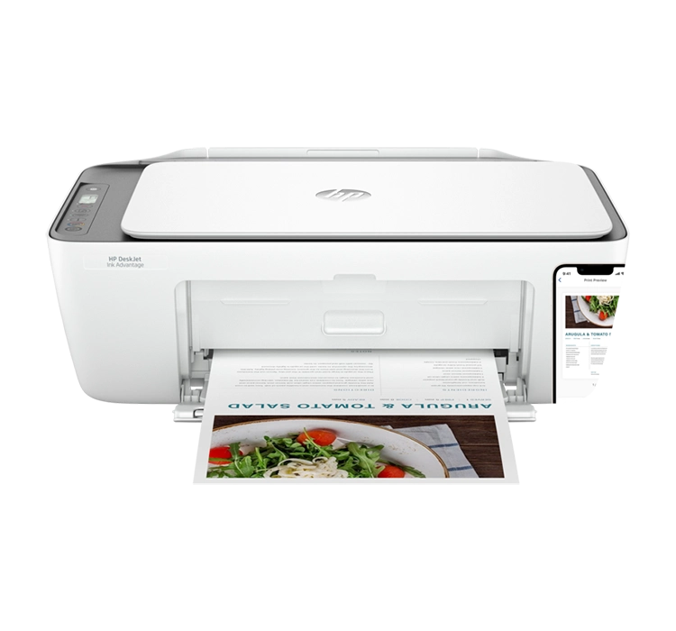 HP DeskJet Ink Advantage 2876 All-in-One Printer (6W7E6C#614)