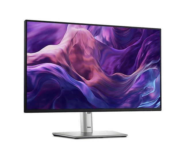 Dell Pro 24 Plus Monitor - P2425H FHD